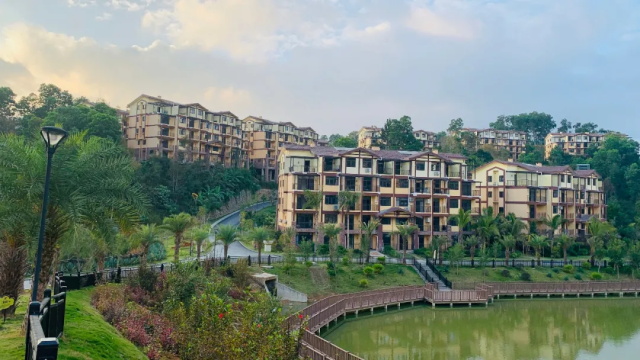 住進陽光雨林，揭秘自然療愈力