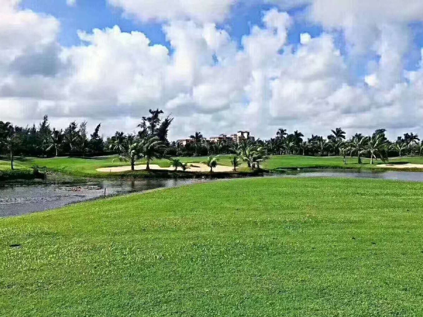 [佳龍美墅湖文化旅游城·陽光綠景]