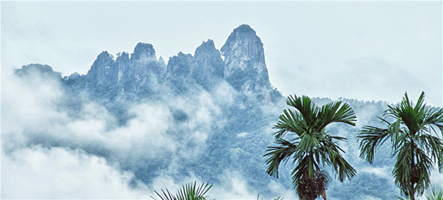 走進(jìn)椰島上的熱帶雨林，到海南任性吸氧吧！